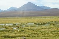 
DSC00232